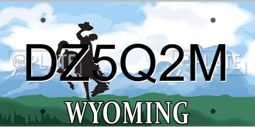 DZ5Q2M Wyoming License Plate