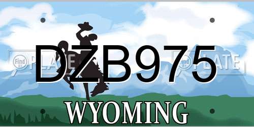 DZB975 Wyoming License Plate