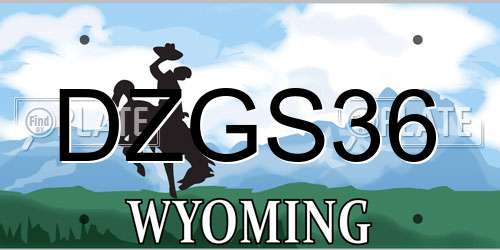 DZGS36 Wyoming License Plate