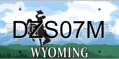 DZS07M Wyoming License Plate