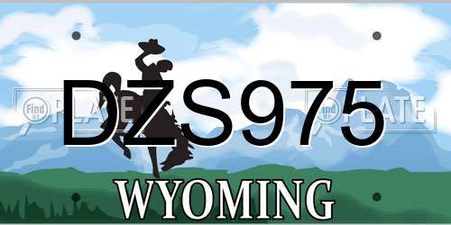DZS975 Wyoming License Plate