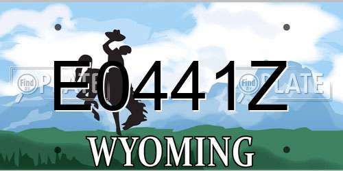 E0441Z Wyoming License Plate