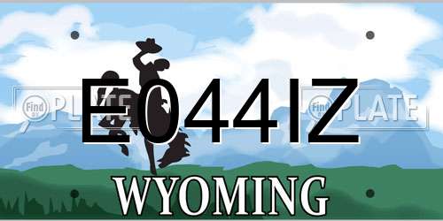 E044IZ Wyoming License Plate