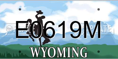 E0619M Wyoming License Plate