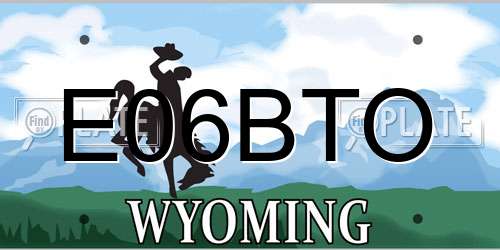 E06BTO Wyoming License Plate