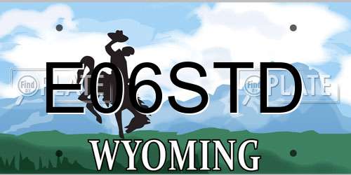 E06STD Wyoming License Plate