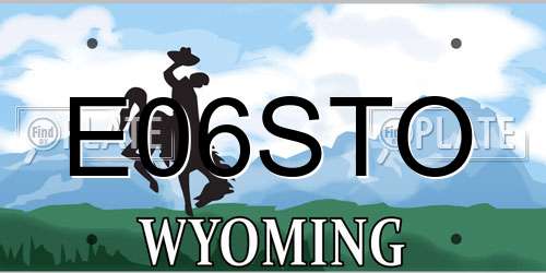 E06STO Wyoming License Plate