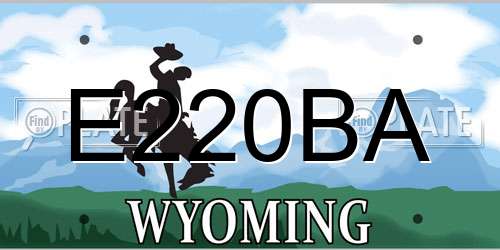 E220BA Wyoming License Plate
