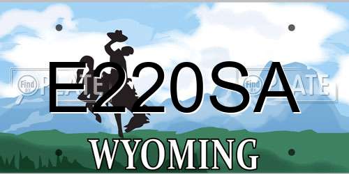 E220SA Wyoming License Plate