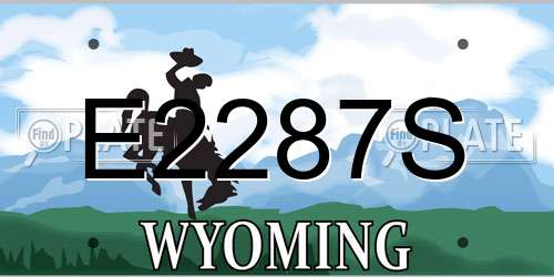 E2287S Wyoming License Plate
