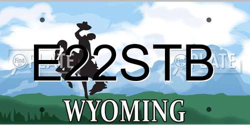 E22STB Wyoming License Plate