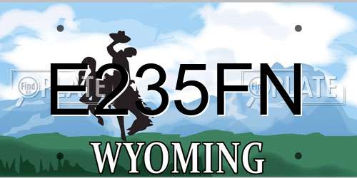 E235FN Wyoming License Plate