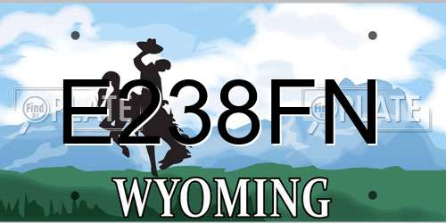 E238FN Wyoming License Plate