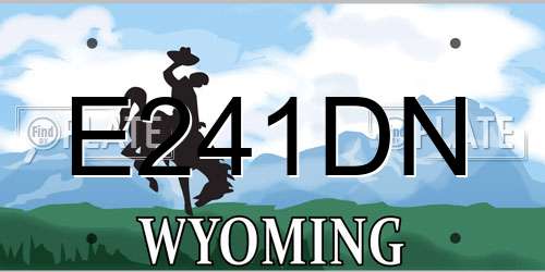 E241DN Wyoming License Plate