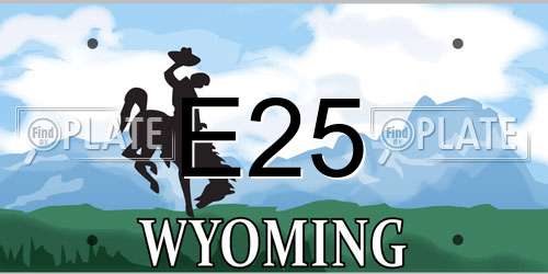 E25 Wyoming License Plate