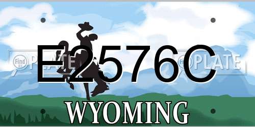 E2576C Wyoming License Plate