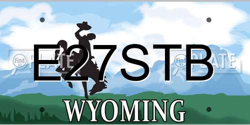 E27STB Wyoming License Plate