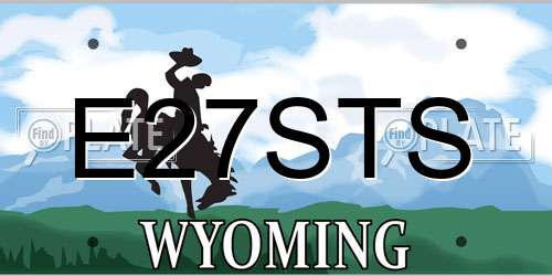 E27STS Wyoming License Plate