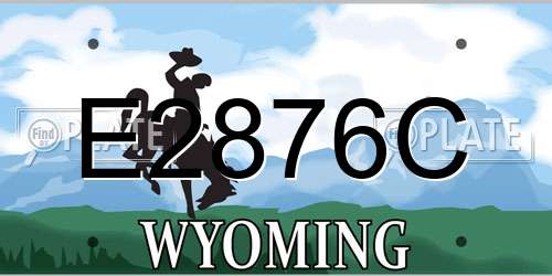 E2876C Wyoming License Plate