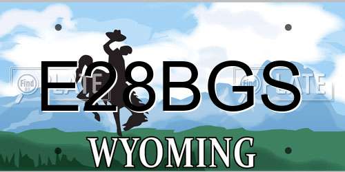 E28BGS Wyoming License Plate