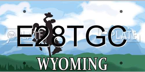 E28TGC Wyoming License Plate