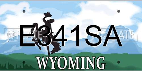 E341SA Wyoming License Plate