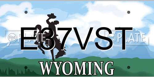 E37VST Wyoming License Plate