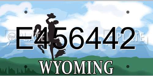 E456442 Wyoming License Plate