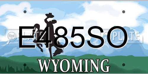 E485SO Wyoming License Plate