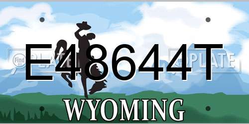 E48644T Wyoming License Plate