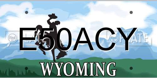 E50ACY Wyoming License Plate