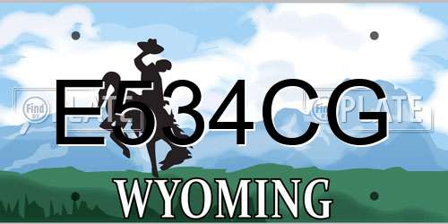 E534CG Wyoming License Plate