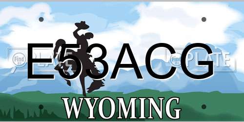 E53ACG Wyoming License Plate