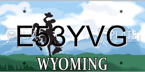 E53YVG Wyoming License Plate