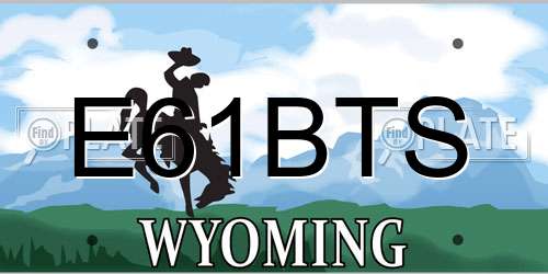 E61BTS Wyoming License Plate