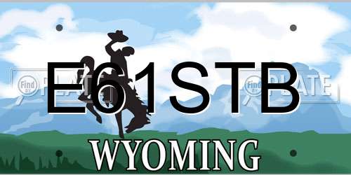 E61STB Wyoming License Plate