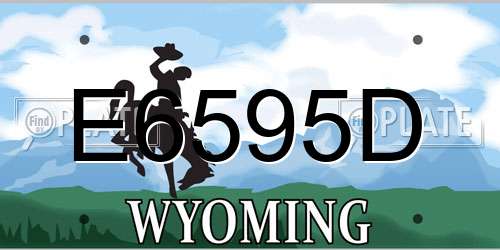 E6595D Wyoming License Plate