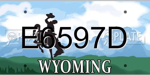 E6597D Wyoming License Plate