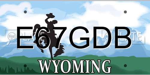 E67GDB Wyoming License Plate