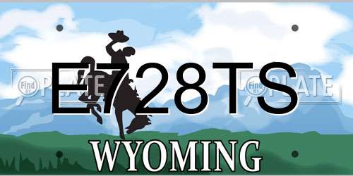 E728TS Wyoming License Plate