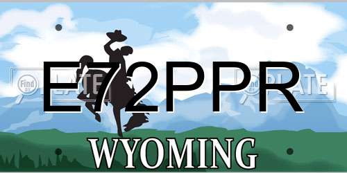 E72PPR Wyoming License Plate