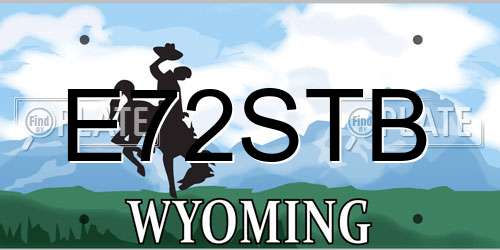 E72STB Wyoming License Plate