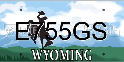 E755GS Wyoming License Plate