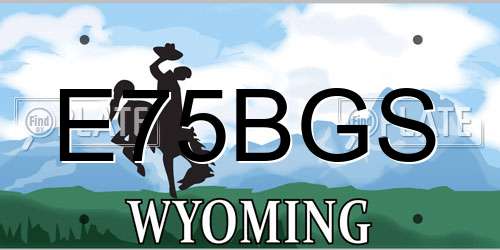 E75BGS Wyoming License Plate