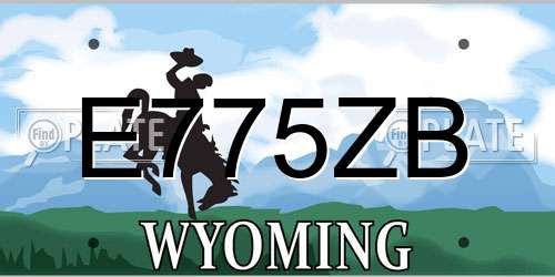E775ZB Wyoming License Plate