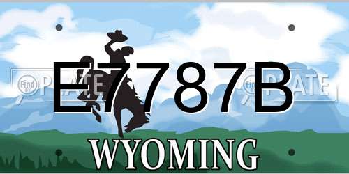 E7787B Wyoming License Plate
