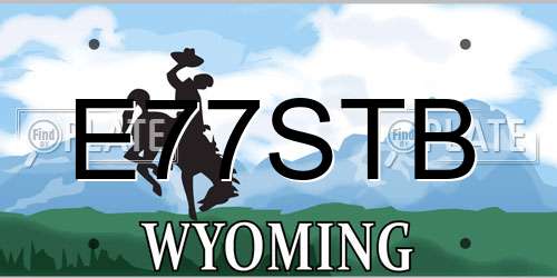 E77STB Wyoming License Plate