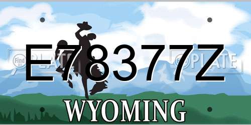 E78377Z Wyoming License Plate