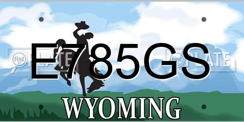 E785GS Wyoming License Plate