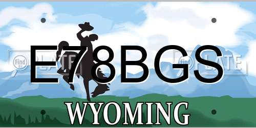 E78BGS Wyoming License Plate